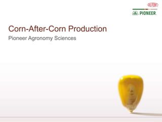 Corn-After-Corn Production
Pioneer Agronomy Sciences
 