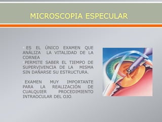  ES EL ÚNICO EXAMEN QUE
ANÁLIZA LA VITALIDAD DE LA
CORNEA
PERMITE SABER EL TIEMPO DE
SUPERVIVENCIA DE LA MISMA
SIN DAÑARSE SU ESTRUCTURA.
EXAMEN MUY IMPORTANTE
PARA LA REALIZACIÓN DE
CUALQUIER PROCEDIMIENTO
INTRAOCULAR DEL OJO.
 
