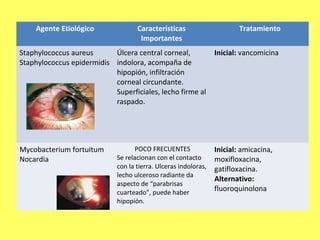 Agente Etiológico               Características                      Tratamiento
                                     Importantes
Staphylococcus aureus      Úlcera central corneal,               Inicial: vancomicina
Staphylococcus epidermidis indolora, acompaña de
                           hipopión, infiltración
                           corneal circundante.
                           Superficiales, lecho firme al
                           raspado.




Mycobacterium fortuitum             POCO FRECUENTES              Inicial: amicacina,
Nocardia                     Se relacionan con el contacto       moxifloxacina,
                             con la tierra. Ulceras indoloras,   gatifloxacina.
                             lecho ulceroso radiante da
                                                                 Alternativo:
                             aspecto de “parabrisas
                             cuarteado”, puede haber
                                                                 fluoroquinolona
                             hipopión.
 
