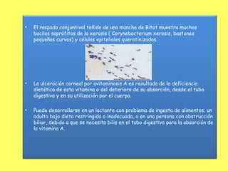 •   El raspado conjuntival teñido de una mancha de Bitot muestra muchos
    bacilos saprófitos de la xerosis ( Corynebacterium xerosis, bastones
    pequeños curvos) y células epiteliales queratinizadas.




•   La ulceración corneal por avitaminosis A es resultado de la deficiencia
    dietética de esta vitamina o del deterioro de su absorción, desde el tubo
    digestivo y en su utilización por el cuerpo.

•   Puede desarrollarse en un lactante con problema de ingesta de alimentos; un
    adulto bajo dieta restringida o inadecuada, o en una persona con obstrucción
    biliar, debido a que se necesita bilis en el tubo digestivo para la absorción de
    la vitamina A.
 