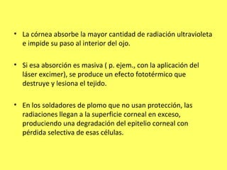 • La córnea absorbe la mayor cantidad de radiación ultravioleta
  e impide su paso al interior del ojo.

• Si esa absorción es masiva ( p. ejem., con la aplicación del
  láser excimer), se produce un efecto fototérmico que
  destruye y lesiona el tejido.

• En los soldadores de plomo que no usan protección, las
  radiaciones llegan a la superficie corneal en exceso,
  produciendo una degradación del epitelio corneal con
  pérdida selectiva de esas células.
 
