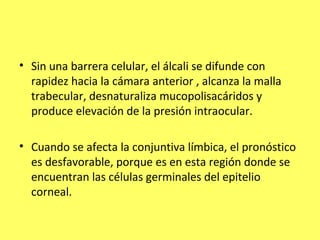 • Sin una barrera celular, el álcali se difunde con
  rapidez hacia la cámara anterior , alcanza la malla
  trabecular, desnaturaliza mucopolisacáridos y
  produce elevación de la presión intraocular.

• Cuando se afecta la conjuntiva límbica, el pronóstico
  es desfavorable, porque es en esta región donde se
  encuentran las células germinales del epitelio
  corneal.
 
