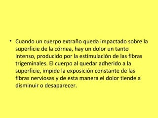 • Cuando un cuerpo extraño queda impactado sobre la
  superficie de la córnea, hay un dolor un tanto
  intenso, producido por la estimulación de las fibras
  trigeminales. El cuerpo al quedar adherido a la
  superficie, impide la exposición constante de las
  fibras nerviosas y de esta manera el dolor tiende a
  disminuir o desaparecer.
 