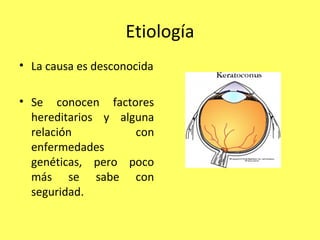Etiología
• La causa es desconocida

• Se conocen factores
  hereditarios y alguna
  relación          con
  enfermedades
  genéticas, pero poco
  más se sabe con
  seguridad.
 
