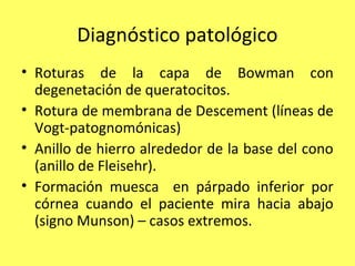 Diagnóstico patológico
• Roturas de la capa de Bowman con
  degenetación de queratocitos.
• Rotura de membrana de Descement (líneas de
  Vogt-patognomónicas)
• Anillo de hierro alrededor de la base del cono
  (anillo de Fleisehr).
• Formación muesca en párpado inferior por
  córnea cuando el paciente mira hacia abajo
  (signo Munson) – casos extremos.
 