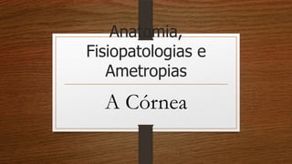Anatomia,
Fisiopatologias e
Ametropias
A Córnea
 