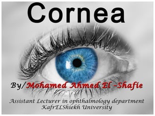 Cornea
By/Mohamed Ahmed El –ShafieMohamed Ahmed El –Shafie
Assistant Lecturer in ophthalmology department
KafrELShiekh University
 