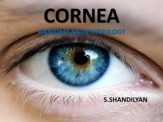 CORNEA
ANATOMY AND PHYSIOLOGY
S.SHANDILYAN
 