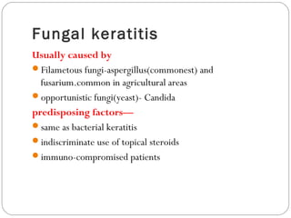 Fungal keratitis
Usually caused by
Filametous fungi-aspergillus(commonest) and
fusarium.common in agricultural areas
opportunistic fungi(yeast)- Candida
predisposing factors—
same as bacterial keratitis
indiscriminate use of topical steroids
immuno-compromised patients
 