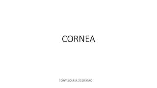 CORNEA
TONY SCARIA 2010 KMC
 
