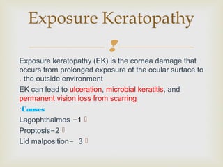 Diseases of the Cornea | PPT
