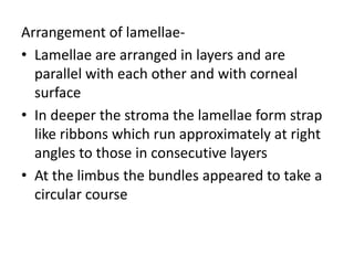 Arrangement of lamellae-
• Lamellae are arranged in layers and are
parallel with each other and with corneal
surface
• In deeper the stroma the lamellae form strap
like ribbons which run approximately at right
angles to those in consecutive layers
• At the limbus the bundles appeared to take a
circular course
 