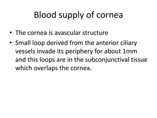 Blood supply of cornea
• The cornea is avascular structure
• Small loop derived from the anterior ciliary
vessels invade its periphery for about 1mm
and this loops are in the subconjunctival tissue
which overlaps the cornea.
 