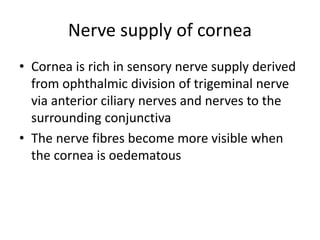 Nerve supply of cornea
• Cornea is rich in sensory nerve supply derived
from ophthalmic division of trigeminal nerve
via anterior ciliary nerves and nerves to the
surrounding conjunctiva
• The nerve fibres become more visible when
the cornea is oedematous
 