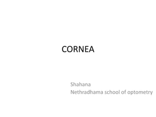 CORNEA
Shahana
Nethradhama school of optometry
 