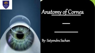 Anatomy of Cornea
By-SatyendraSachan
 