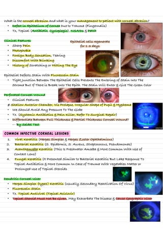 Cornea (special sens. “ophthalmology”).pdf
