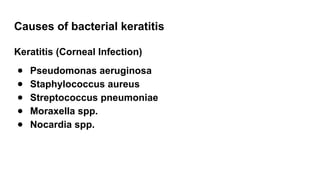 Causes of bacterial keratitis
Keratitis (Corneal Infection)
● Pseudomonas aeruginosa
● Staphylococcus aureus
● Streptococcus pneumoniae
● Moraxella spp.
● Nocardia spp.
 