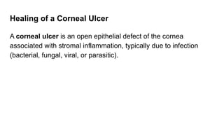 Healing of a Corneal Ulcer
A corneal ulcer is an open epithelial defect of the cornea
associated with stromal inflammation, typically due to infection
(bacterial, fungal, viral, or parasitic).
 