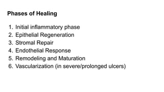 Phases of Healing
1. Initial inflammatory phase
2. Epithelial Regeneration
3. Stromal Repair
4. Endothelial Response
5. Remodeling and Maturation
6. Vascularization (in severe/prolonged ulcers)
 