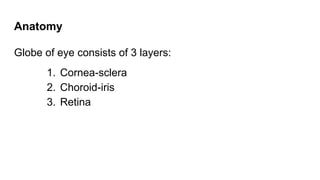 Anatomy
Globe of eye consists of 3 layers:
1. Cornea-sclera
2. Choroid-iris
3. Retina
 