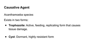 Causative Agent
Acanthamoeba species
Exists in two forms:
● Trophozoite: Active, feeding, replicating form that causes
tissue damage.
● Cyst: Dormant, highly resistant form
 