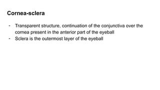 Cornea-sclera
- Transparent structure, continuation of the conjunctiva over the
cornea present in the anterior part of the eyeball
- Sclera is the outermost layer of the eyeball
 