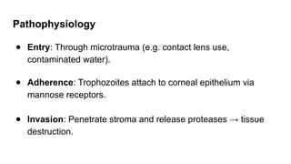 Pathophysiology
● Entry: Through microtrauma (e.g. contact lens use,
contaminated water).
● Adherence: Trophozoites attach to corneal epithelium via
mannose receptors.
● Invasion: Penetrate stroma and release proteases → tissue
destruction.
 