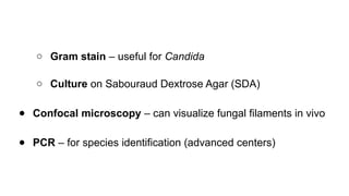 ○ Gram stain – useful for Candida
○ Culture on Sabouraud Dextrose Agar (SDA)
● Confocal microscopy – can visualize fungal filaments in vivo
● PCR – for species identification (advanced centers)
 