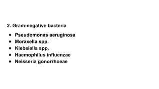 2. Gram-negative bacteria
● Pseudomonas aeruginosa
● Moraxella spp.
● Klebsiella spp.
● Haemophilus influenzae
● Neisseria gonorrhoeae
 