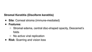 Stromal Keratitis (Disciform keratitis)
● Site: Corneal stroma (immune-mediated)
● Features:
○ Stromal edema, central disc-shaped opacity, Descemet’s
folds
○ No active viral replication
● Risk: Scarring and vision loss
 