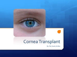 Cornea Transplant
          By: Pat, Sarah, & Alex
 