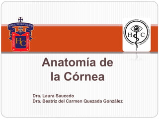 Anatomía de
la Córnea
Dra. Laura Saucedo
Dra. Beatriz del Carmen Quezada González
 