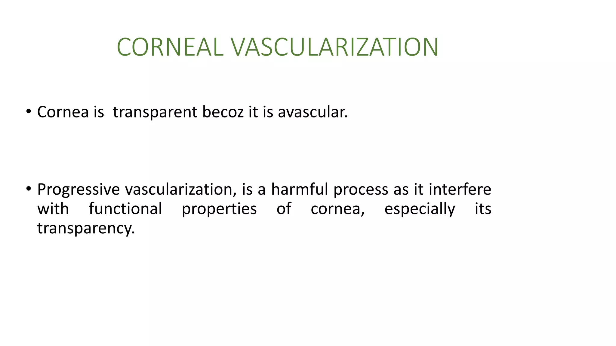 Cornual Process Cornea anatomy & physiology | PPTX