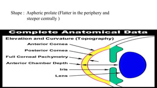 Corneal anatomy and anatomy of limbus ! | PPTX
