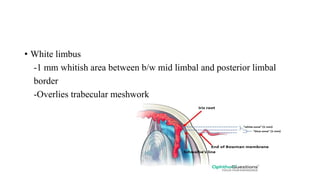 Corneal anatomy and anatomy of limbus ! | PPTX
