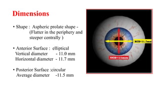 Corneal anatomy and anatomy of limbus ! | PPTX