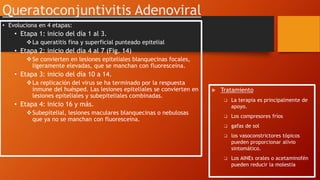• Evoluciona en 4 etapas:
• Etapa 1: inicio del día 1 al 3.
La queratitis fina y superficial punteado epitelial
• Etapa 2: inicio del día 4 al 7 (Fig. 14)
Se convierten en lesiones epiteliales blanquecinas focales,
ligeramente elevadas, que se manchan con fluoresceína.
• Etapa 3: inicio del día 10 a 14.
La replicación del virus se ha terminado por la respuesta
inmune del huésped. Las lesiones epiteliales se convierten en
lesiones epiteliales y subepiteliales combinadas.
• Etapa 4: inicio 16 y más.
Subepitelial, lesiones maculares blanquecinas o nebulosas
que ya no se manchan con fluoresceína.
Queratoconjuntivitis Adenoviral
 Tratamiento
 La terapia es principalmente de
apoyo.
 Los compresores fríos
 gafas de sol
 los vasoconstrictores tópicos
pueden proporcionar alivio
sintomático.
 Los AINEs orales o acetaminofén
pueden reducir la molestia
 