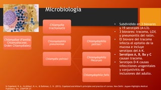 Microbiología
Chlamydiae (Familia
Chlamydiaceae,
Orden Chlamydiales)
Chlamydia
trachomatis
Chlamydophila
pneumoniae
Chlamydia psittaci
Chlamydophila
psittaci
Chlamydophila
Pecorum
Chlamydophila felis
• Subdividido en 3 biovares
y 19 serotipes (A-L3).
• 3 biovares: tracoma, LGV,
y pneumonitis del ratón.
• El biovare del tracoma
infecta el epitelio de la
mucosa e incluye
serotipos del A-K.
• Serotipos A, B, Ba y C
causan tracoma.
• Serotipos D-K causas
infecctiones urogenitales
y conjuntivitis de
inclusiones del adulto.
In Copeland, R. A., In Afshari, N. A., & Dohlman, C. H. (2013). Copeland and Afshari's principles and practice of cornea. New Delhi: Jaypee-Highlights Medical
Publishers, Inc. CHAPTER 27.
 