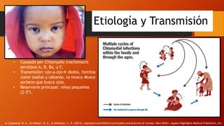 Etiología y Transmisión
• Causado por Chlamydia trachomatis
serotipos A, B, Ba, y C.
• Transmisión: ojo-a-ojo dedos, fomitas
como toallas y sábanas, la mosca Musca
sorbens que busca ojos.
• Reservorio principal: niños pequeños
(2-5ª).
In Copeland, R. A., In Afshari, N. A., & Dohlman, C. H. (2013). Copeland and Afshari's principles and practice of cornea. New Delhi: Jaypee-Highlights Medical Publishers, Inc.
 