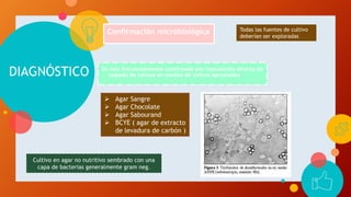 DIAGNÓSTICO
Confirmación microbiológica
Dx más frecuentemente confirmado por inoculación directa de
raspado de cornea en medios de cultivo apropiados
Todas las fuentes de cultivo
deberían ser exploradas
 Agar Sangre
 Agar Chocolate
 Agar Sabourand
 BCYE ( agar de extracto
de levadura de carbón )
Cultivo en agar no nutritivo sembrado con una
capa de bacterias generalmente gram neg.
 