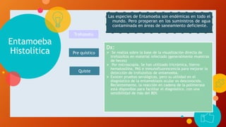Entamoeba
Histolítica
Dx:
 Se realiza sobre la base de la visualización directa de
trofozoítos en material infectado (generalmente muestras
de heces)
 Por microscopía. Se han utilizado tricrómica, hierro-
hematoxilina, PAS e inmunofluorescencia para mejorar la
detección de trofozoítos de entamoeba.
 Existen pruebas serológicas, pero su utilidad en el
diagnóstico de la entamebiasis ocular es desconocida.
Recientemente, la reacción en cadena de la polimerasa
está disponible para facilitar el diagnóstico, con una
sensibilidad de más del 80%
Las especies de Entamoeba son endémicas en todo el
mundo. Pero prosperan en los suministros de agua
contaminada en áreas de saneamiento deficiente.
Trofozoito
Pre quístico
Quiste
 
