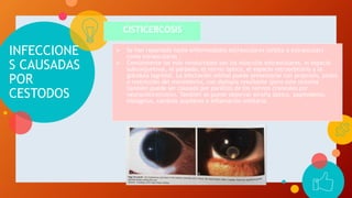INFECCIONE
S CAUSADAS
POR
CESTODOS
CISTICERCOSIS
 Se han reportado tanto enfermedades extraoculares (orbita o extraocular)
como intraoculares .
 Comúnmente los más involucrados son los músculos extraoculares, el espacio
subconjuntival, el párpado, el nervio óptico, el espacio retroorbitario y la
glándula lagrimal. La afectación orbital puede presentarse con proprosis, ptosis
o restricción del movimiento, con diplopía resultante (pero este síntoma
también puede ser causado por parálisis de los nervios craneales por
neurocisticercosis). También se puede observar atrofia óptica, papiledema,
nistagmus, cambios pupilares e inflamación orbitaria.
 