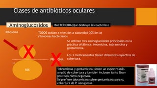Clases de antibióticos oculares
Aminoglucósidos
50S
30S
Ribosoma
----------------------------------
-->
PROTEÍNA
X
TODOS actúan a nivel de la subunidad 30S de los
ribosomas bacterianos
X
BACTERICIDA(Que destruye las bacterias)
Se utilizan tres aminoglucósidos principales en la
práctica oftálmica: Neomicina, tobramicina y
gentamicina.
Los 3 medicamentos tienen diferentes espectros de
cobertura.
La neomicina tiene el espectro más limitado de
cobertura e incluye la cobertura de algunos gram
positivos como el s. Aureus y Corynebacterium junto con
los gram negativos E.coli, Haemophilus influenzae,
klebsiella, Neisseria, Proteus y Enterobacter.
Tobramicina y gentamicina tienen un espectro más
amplio de cobertura y también incluyen tanto Gram
positivos como negativos.
Se prefiere tobramicina sobre gentamicina para su
cobertura de P. aeruginosa.
 