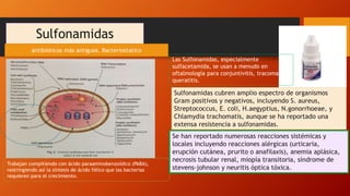 Sulfonamidas
Trabajan compitiendo con ácido paraaminobenzoídico (PABA),
restringiendo así la síntesis de ácido fólico que las bacterias
requieren para el crecimiento.
Sulfonamidas cubren amplio espectro de organismos
Gram positivos y negativos, incluyendo S. aureus,
Streptococcus, E. coli, H.aegyptius, N.gonorrhoeae, y
Chlamydia trachomatis, aunque se ha reportado una
extensa resistencia a sulfonamidas.
Se han reportado numerosas reacciones sistémicas y
locales incluyendo reacciones alérgicas (urticaria,
erupción cutánea, prurito o anafilaxis), anemia aplásica,
necrosis tubular renal, miopía transitoria, síndrome de
stevens-johnson y neuritis óptica tóxica.
antibióticos más antiguos. Bacteriostatico
Las Sulfonamidas, especialmente
sulfacetamida, se usan a menudo en
oftalmología para conjuntivitis, tracoma y
queratitis.
 