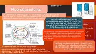 Fluoroquinolonas
Son antibióticos de amplio espectro con cobertura para Gram positivos y Gram
negativos y por lo tanto son capaces de ser prescritos como un solo agente de
cobertura antibiótica empírica y de uso frecuente en la práctica oftálmica.
Bactericidas
Actúan inhibiendo la síntesis de ADN bacteriano.
Promueven la escisión del ADN bacteriano en el complejo ADN girasa
(topoisomerasa II), inhibiendo de este modo la replicación y transcripción del
ADN y causando la muerte celular.
Las fluoroquinolonas utilizadas tópicamente en la práctica
oftálmica incluyen:
-ciprofloxacina disponible como una solución al 0,3% y ungüento
-ofloxacina disponible como una solución al 0,3%
-levofloxacina disponible como una solución al 0,5% y 1,5%,
-moxifloxacino disponible como una solución al 0,5%,
-gatifloxacina disponible como una solución 0,3% y al 0,5%, y
-besifloxacina disponible como una suspensión al 0,6%.
La ciprofloxacina y ofloxacina (más
comúnmente prescritas) tienen un espectro más
amplio de cobertura con eficacia contra la
mayoría de los organismos Gram negativos, pero
limitan la cobertura de Gram positivos.
La ciprofloxacina es notable sobre Ofloxacino por su cobertura
de P. aeruginosa, mientras que la ofloxacina no lo hace.
La levofloxacina, una fluoroquinolona de amplio espectro,
tiene eficacia contra tanto bacterias Gram negativas como
Gram positivos.
Las fluoroquinolonas más recientes, la gatifloxacina,
la moxifloxacina y la besifloxacina también tienen
cobertura de amplio espectro para las bacterias Gram
positivas y Gram negativas
 