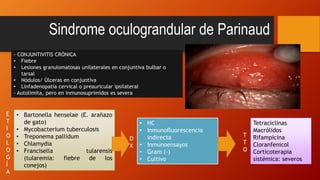 Sindrome oculograndular de Parinaud
• Bartonella henselae (E. arañazo
de gato)
• Mycobacterium tuberculosis
• Treponema pallidum
• Chlamydia
• Francisella tularensis
(tularemia: fiebre de los
conejos)
• HC
• Inmunofluorescencia
indirecta
• Inmunoensayos
• Gram (-)
• Cultivo
Tetraciclinas
Macrólidos
Rifampicina
Cloranfenicol
Corticoterapia
sistémica: severos
- CONJUNTIVITIS CRÓNICA
• Fiebre
• Lesiones granulomatosas unilaterales en conjuntiva bulbar o
tarsal
• Nódulos/ Úlceras en conjuntiva
• Linfadenopatía cervical o preauricular ipsilateral
- Autolimita, pero en inmunosuprimidos es severa
E
T
I
O
L
O
G
Í
A
D
X
T
T
O
 