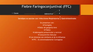 Fiebre Faringoconjuntival (FFC)
• Causa
Serotipos se asocian con: Infecciones Respiratorias y Gastrointestinales
Se presentan con:
Faringitis
Dolor de garganta leve
Fiebre
Adenopatía preauricular y cervical
Conjuntivitis folicular
Los síntomas son similares al de la Influenza
FFC : Es extremadamente Contagiosa
•
Adenovirus
3
4
7
 