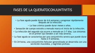 FASES DE LA QUERATOCONJUNTIVITIS
• La fase aguda puede durar de 4-6 semanas y progresar rápidamente
después de la infección.
• La fase crónica puede durar meses o años.
• Sensación de cuerpo extraño a menudo marca el inicio de la infección.
• La infección del segundo ojo ocurre a menudo en 3-7 días. Los síntomas
en el primer ojo tienden a ser más severos.
• La fase aguda se caracteriza por una conjuntivitis severa que puede durar
hasta 2-4 semanas.
• En 24 horas, una conjuntivitis folicular generalizada se desarrolla con una
secreción mucoidea, y lagrimeo profuso.
 