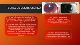 La fase crónica implica la infiltración
leucocítica del estroma corneal subepitelial
que causa infiltrados subepiteliales (ETAPA
III)
SEI CENTRAL en el eje visual, puede resultar
en disminución de la visión, debilitante
fotofobia con deslumbramiento y halos.
SEI PARACENTRAL son a menudo más
sintomática en condiciones de poca luz y
particularmente durante la conducción
nocturna
En la etapa IV, los defectos
epiteliales y la tinción se han
resuelto, pero el SEI puede persistir
durante semanas o meses
La etapa V se caracteriza por
granularidad epitelial punteada,
frecuentemente sobrepuesta a SEI.
ETAPAS DE LA FASE CRONICA
 